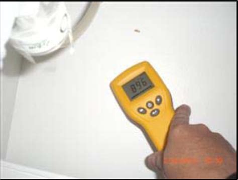 moisture reading numbers for mold